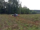 brambory 28